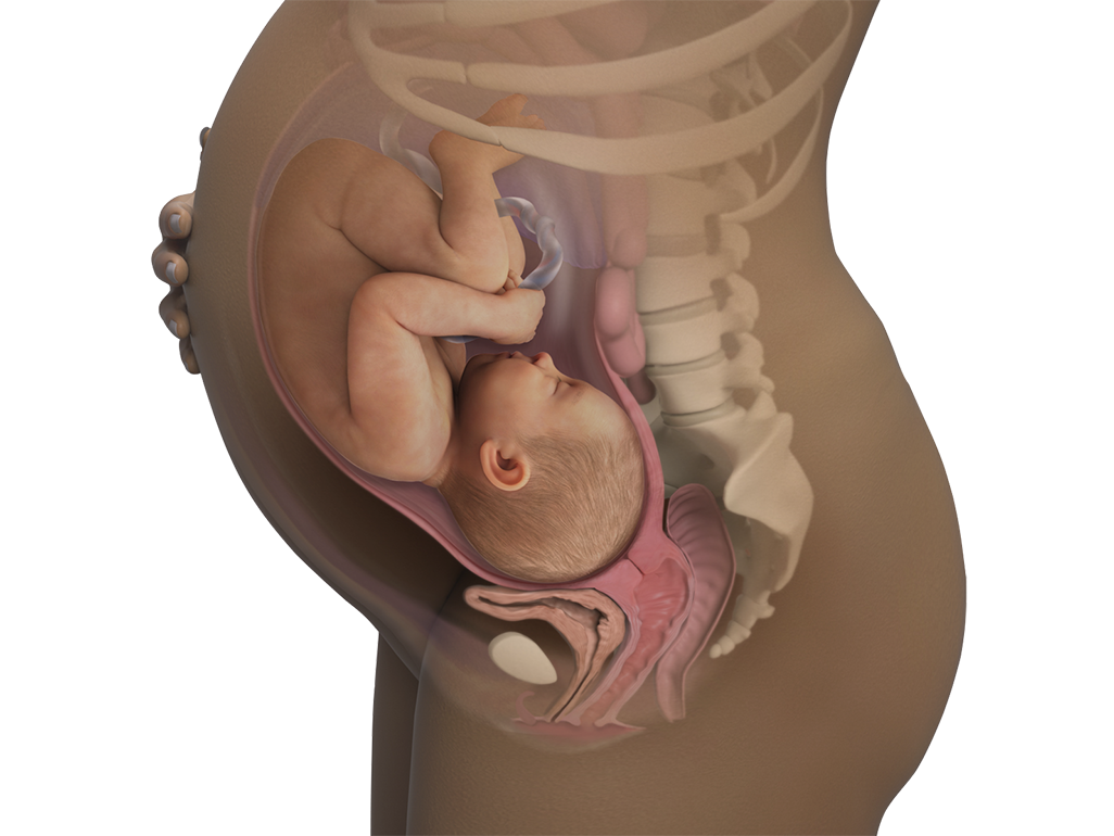 Image of a woman and her baby at 39 weeks of pregnancy.