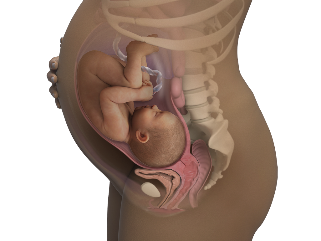 Image of a woman and her baby at 38 weeks of pregnancy.
