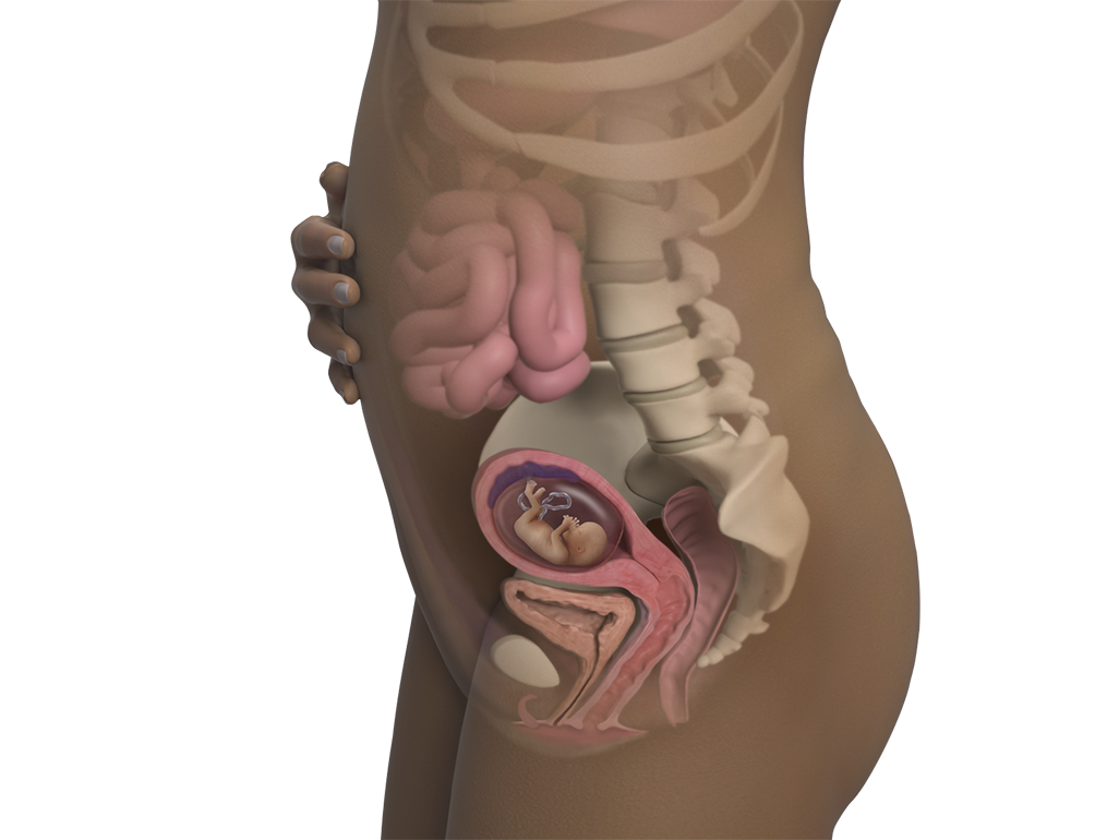 Image of a woman and her baby at 13 weeks of pregnancy.
