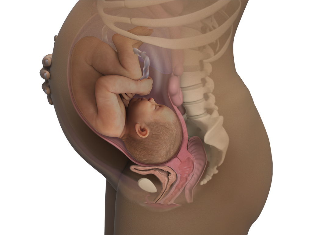 Image of a woman and her baby at 40 weeks of pregnancy.